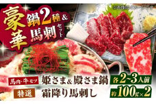 特製味噌スープ「殿さま鍋」と美肌醤油スープ「姫さま鍋」のWセットと特選霜降り馬刺しの豪華極上詰め合わせセット（鍋：各2〜3人前、馬刺し：約100g×2）【オルガニコ山鹿】 [ZFH004]