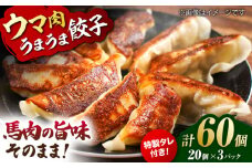 新感覚！ウマ肉うまうま餃子（20個×3パック）【オルガニコ山鹿】 [ZFH006]