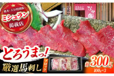 熊本 馬刺し「なか園」赤身馬刺し 約300ｇ【有限会社スイートサプライなかぞの】 [ZBV065]