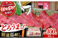 熊本 馬刺し「なか園」赤身馬刺し 約400ｇ【有限会社スイートサプライなかぞの】 [ZBV066]