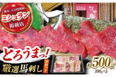 熊本 馬刺し「なか園」赤身馬刺し 約500ｇ【有限会社スイートサプライなかぞの】 [ZBV067]