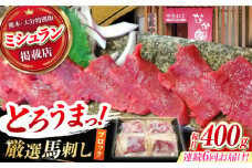 【6回定期便】熊本 馬刺し「なか園」赤身馬刺し 約400ｇ【有限会社スイートサプライなかぞの】 [ZBV075]