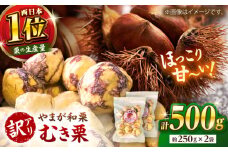 【先行予約】 【訳あり】 むき栗 約500ｇ（約250g×2袋） 【すみれファーム】 [ZEP061]
