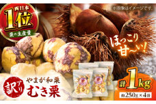 【先行予約】 【訳あり】 むき栗 約1kg（約250g×4袋） 【すみれファーム】 [ZEP062]