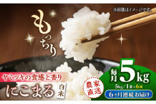 【6回定期便】 【数量限定】にこまる 白米 5kg 【竹下農園】 [ZEL020]