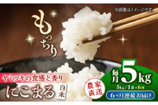 【6回定期便】 にこまる 白米 5kg 【竹下農園】 [ZEL020]