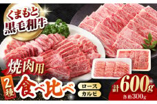 熊本県産 黒毛和牛 ロース・カルビ焼肉用 食べ比べ 約600g(各約300g)【有限会社 九州食肉産業】 [ZDQ155]