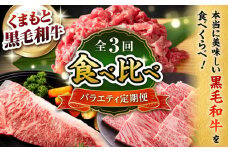 【3回定期便】熊本県産 黒毛和牛【有限会社 九州食肉産業】 [ZDQ168]