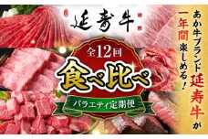 【12回定期便】熊本県産 あか牛『延寿牛』 贅沢食べ比べ【有限会社 九州食肉産業】 [ZDQ170]