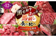【12回定期便】熊本県産 黒毛和牛 あか牛 馬刺し 豪華食べ比べ【有限会社 九州食肉産業】 [ZDQ173]