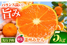 中生温州みかん 5kg 【池田農園】 [ZEX003]