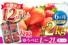 【先行予約】【6回定期便】大粒いちご L〜2L ゆうべに 2kg（8pc）【熊本ベリー】 [ZER017]