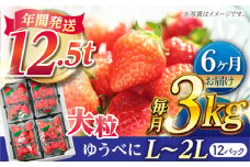【先行予約】【6回定期便】大粒いちご L〜2L ゆうべに 3kg（12pc）【熊本ベリー】 [ZER018]