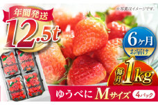 【先行予約】【6回定期便】いちご Mサイズ ゆうべに 1kg（4pc）【熊本ベリー】 [ZER019]
