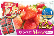 【先行予約】【6回定期便】いちご Mサイズ ゆうべに 2kg（8pc）【熊本ベリー】 [ZER020]