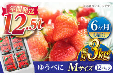 【先行予約】【6回定期便】いちご Mサイズ ゆうべに 3kg（12pc）【熊本ベリー】 [ZER021]