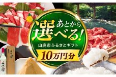 【あとから選べる】山鹿市ふるさとギフト　10万円分 米 牛肉　豚肉 馬刺し くまもと黒毛和牛 定期便 山鹿 [ZEC030]