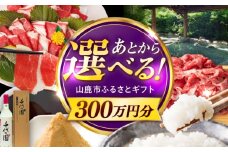 【あとから選べる】山鹿市ふるさとギフト　300万円分 米 牛肉　豚肉 馬刺し くまもと黒毛和牛 定期便 山鹿 [ZEC035]