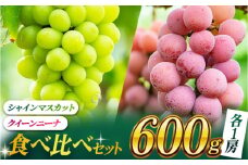 【数量限定】食べ比べセット 約600g（シャインマスカット ＆ クイーンニーナ 各一房）【合同会社 社方園】 [ZBZ036]