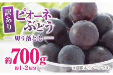 訳あり ピオーネ ぶどう 切り落とし 約700g  【合同会社 社方園】 [ZBZ037]