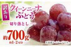 訳あり クイーンニーナ ぶどう 切り落とし 約700g  【合同会社 社方園】 [ZBZ039]