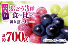 訳あり ぶどう3種 食べ比べ 切り落とし 計約700g  【合同会社 社方園】 [ZBZ040]