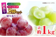 訳あり 紅白ぶどう2種（シャインマスカット＆クイーンニーナ）食べ比べ 切り落とし 計約1kg  【合同会社 社方園】 [ZBZ041]