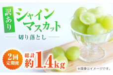 　【2回定期便】　訳あり シャインマスカット 切り落とし 約700g  【合同会社 社方園】 [ZBZ043]