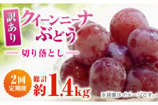 　【2回定期便】　訳あり クイーンニーナ ぶどう 切り落とし 約700g  【合同会社 社方園】 [ZBZ044]