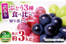  【3回定期便】 訳あり 毎月違うぶどうをお届け！ ぶどう3種 食べ比べ 切り落とし 約1kg  【合同会社 社方園】 [ZBZ049]