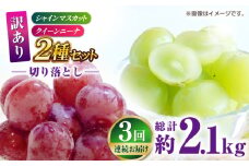  【3回定期便】 訳あり 毎月1種類ずつお届け！ 紅白ぶどう2種 食べ比べ 切り落とし 約700g  【合同会社 社方園】 [ZBZ050]