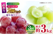  【3回定期便】 訳あり 毎月1種類ずつお届け！ 紅白ぶどう2種 食べ比べ 切り落とし 約1kg  【合同会社 社方園】 [ZBZ051]