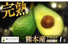 【期間限定】 【数量限定】希少！ 熟王アボカド 「エドラノール」　 1玉（300〜400g）　【Nature’s Butter Farm Nakazono】 [ZBV080]