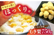 【先行予約】 むき栗 約750ｇ（約250g×3pc） 【すみれファーム】 [ZEP064]