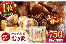 【先行予約】 【訳あり】 むき栗 約750g（約250g×3袋） 【すみれファーム】 [ZEP065]