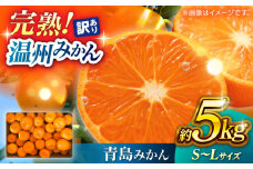 【訳あり】 温州みかん 『青島』 約5kg S〜Lサイズ 【奥村果実園】 [ZFK001]