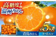 温州みかん 『青島』 約5kg S〜Lサイズ 【奥村果実園】 [ZFK005]