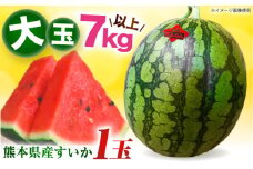 【先行予約】 大玉スイカ 約7kg以上（1玉） 【とみおか農園】 [ZEM004]