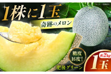 【先行予約】 【数量限定】肥後グリーン メロン 約2kg（1玉） 【とみおか農園】 [ZEM005]