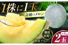 【先行予約】 【数量限定】 肥後グリーン メロン 約4kg（2玉） 【とみおか農園】 [ZEM006]