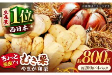 【先行予約】 【風味豊か♪ちょっと渋皮つき】やまが和栗 大粒むき栗 渋皮つき 約800g（約200g×4pc）小分け【古川農園】 [ZES002]