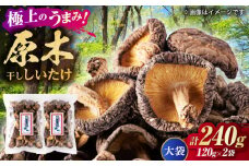 原木 干ししいたけ 大袋240ｇ（120ｇ×2袋） 【すみれファーム】 [ZEP069]