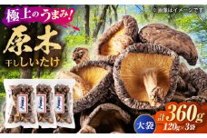 原木 干ししいたけ 大袋360ｇ（120ｇ×3袋） 【すみれファーム】 [ZEP070]
