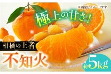 【数量限定】不知火 約5kg　【日本フルーツ株式会社】 [ZFJ002]