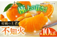 【数量限定】不知火 約10kg 【日本フルーツ株式会社】 [ZFJ003]