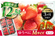 《4月より発送開始》 【3回定期便】 いちご Mサイズ ゆうべに 1kg（4pc）【熊本ベリー】 [ZER022]
