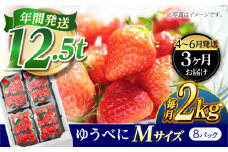 《4月より発送開始》 【3回定期便】 いちご Mサイズ ゆうべに 2kg（8pc）【熊本ベリー】 [ZER023]