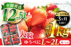 《4月より発送開始》 【3回定期便】 大粒いちご L〜2L ゆうべに 1kg（4pc）【熊本ベリー】 [ZER025]
