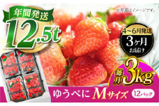 《4月より発送開始》 【3回定期便】 いちご Mサイズ ゆうべに 3kg（12pc）【熊本ベリー】 [ZER024]