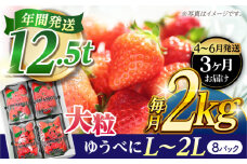 《4月より発送開始》 【3回定期便】 大粒いちご L〜2L ゆうべに 2kg（8pc）【熊本ベリー】 [ZER026]